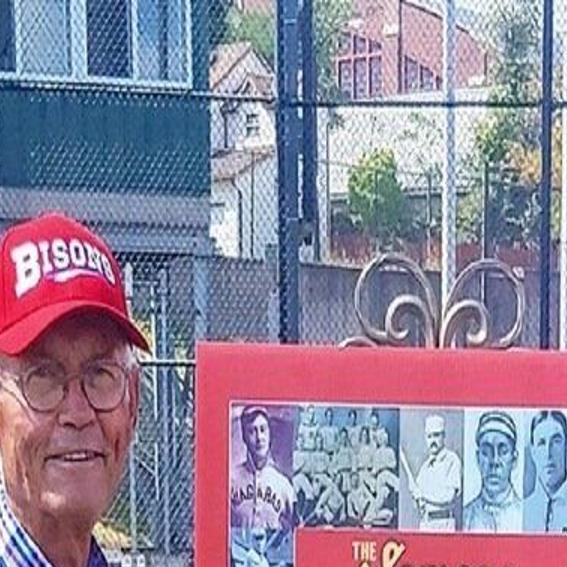 Book On Buffalo Baseball History Updated Local Sports Niagara Gazette Com