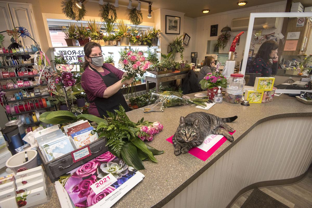 210211 Lockport Valentines 1.jpg