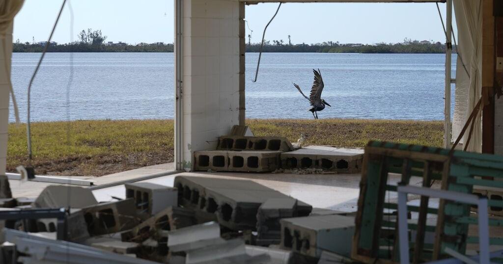 Study: Climate change has led to jump in hurricane wind strength | News Study: Climate change has led to jump in hurricane wind strength | News