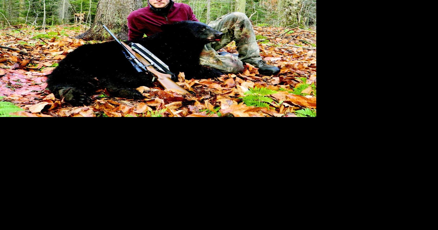 New York saw record-breaking bear harvests in 2025