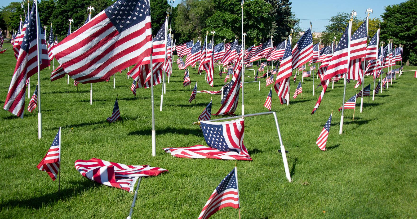 Falls man formally charged with felony criminal mischief for damage to Field of Flags - Vimarsana News