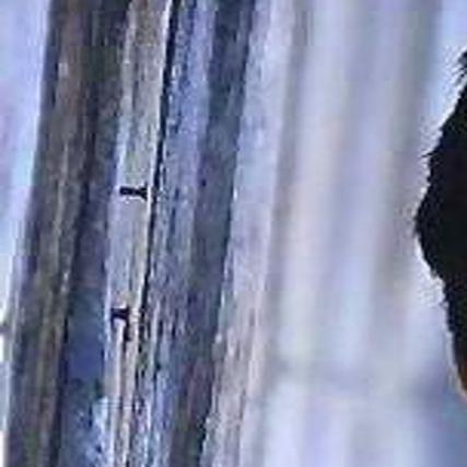 Getting To Know Darryl Tonemah Night And Day Niagara Gazette Com