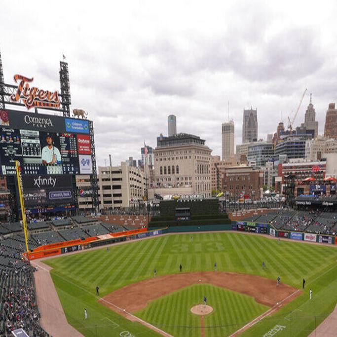 Download Detroit Tigers Outfield Kitty Wallpaper
