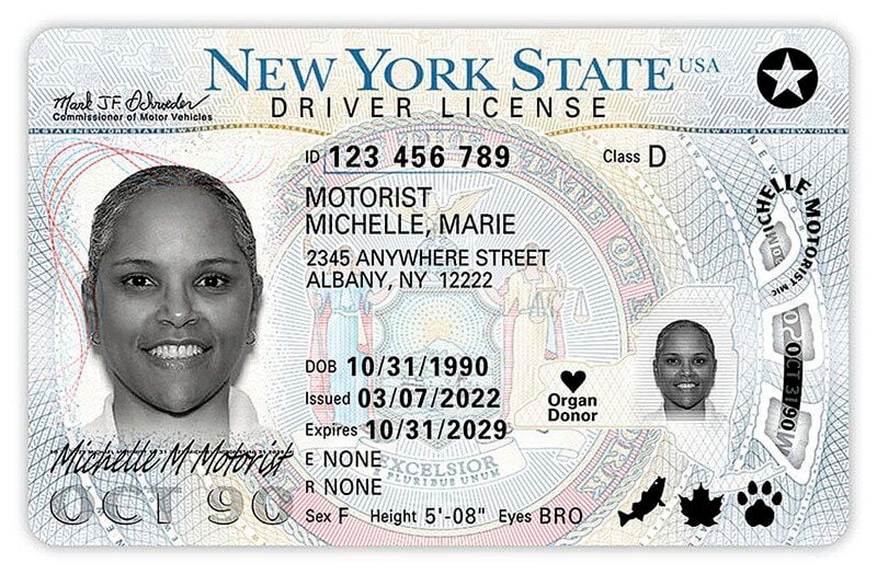 Redesigned NYS driver license rolled out Local News niagara-gazette image