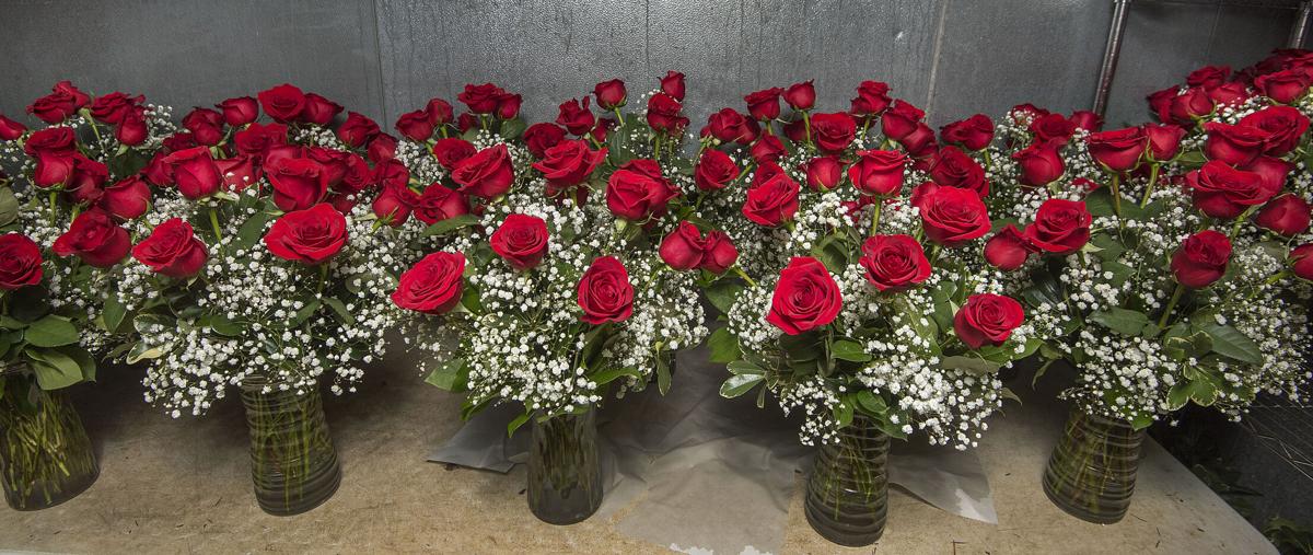 210211 NF Valentines 2.jpg