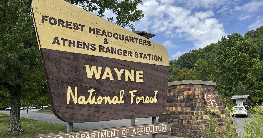 Founding father Gen. Anthony Wayne's legacy is getting a second look at Ohio's Wayne National Forest - Vimarsana News