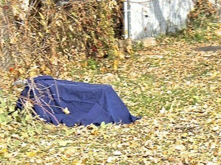 Project Targeting Feral Tonawanda Island Cats Considered A Success