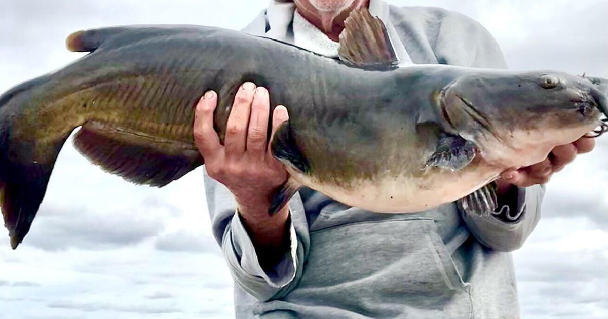 Chatham Rise Fish FROM THE VALLEY: An unbelievable sort of fish story | Opinion | niagara ...