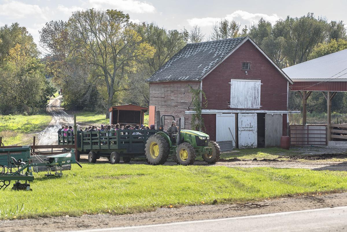 SLIDESHOW Pickin' pumpkins at Becker Farms Gallery