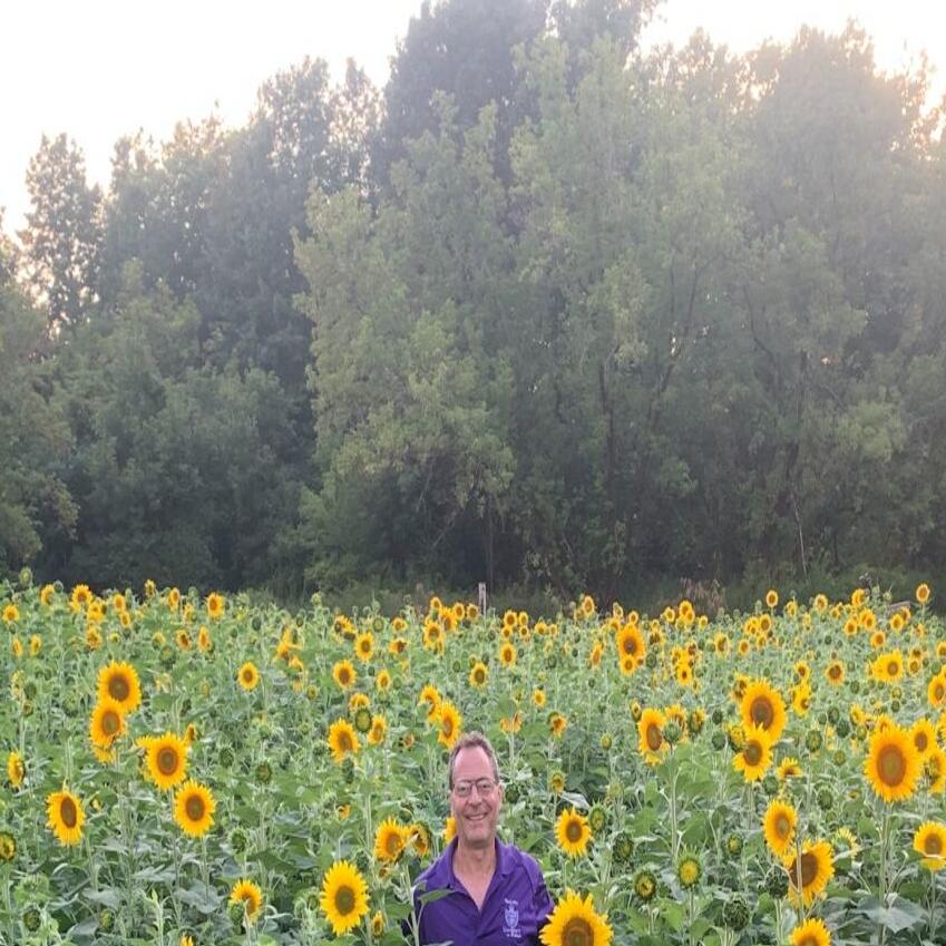 Niagara University professor selling sunflowers for Ukraine ...