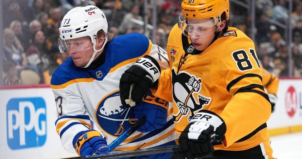 Metsa earns a one-year extension with the Sabres