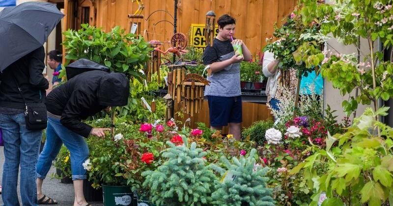 Lewiston GardenFest in season this weekend - Vimarsana News
