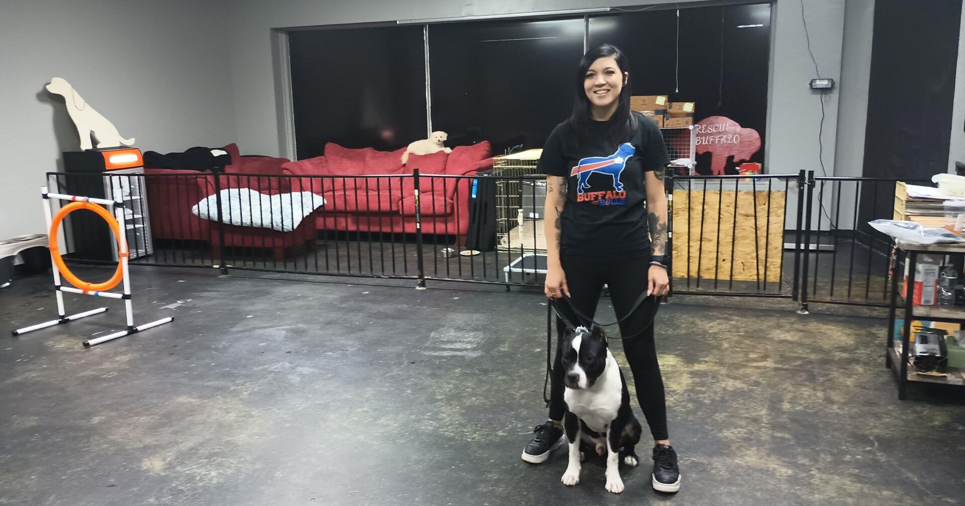 Pit Chic fires back at critics of city's dog shelter - Vimarsana News