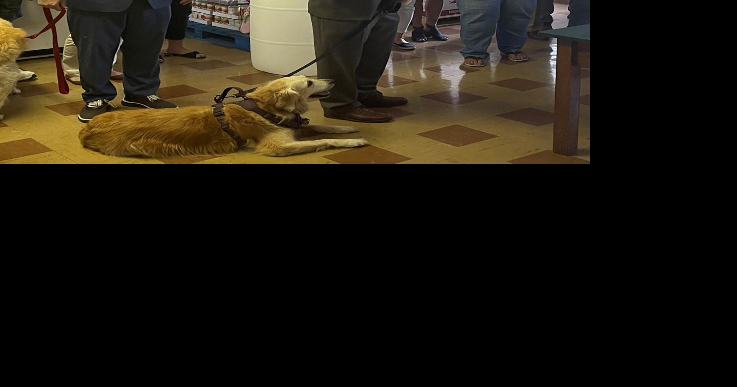 New partnership offering food pantry for pets News