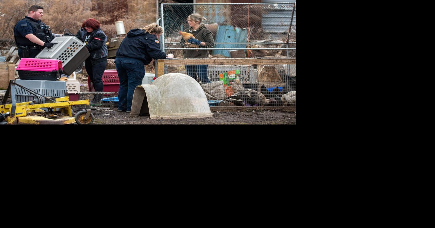 Two arrested after check of Wilson property finds dead animals ...