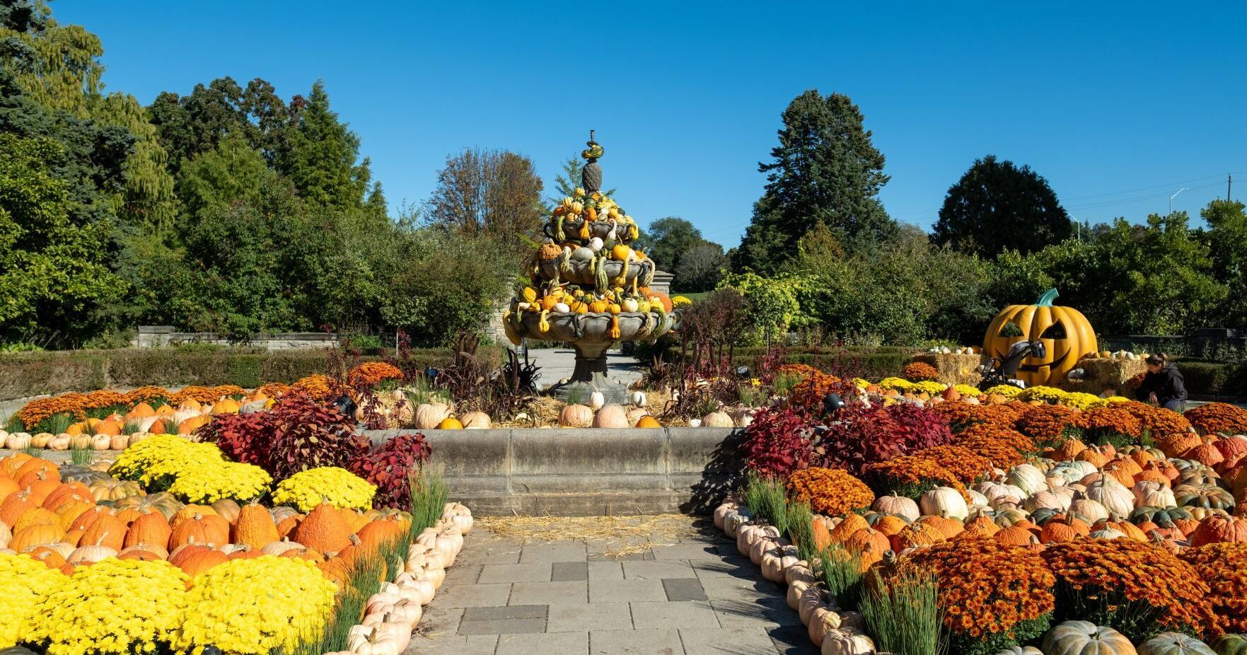 Time to visit Royal Botanical Garden Great Pumpkin Trail