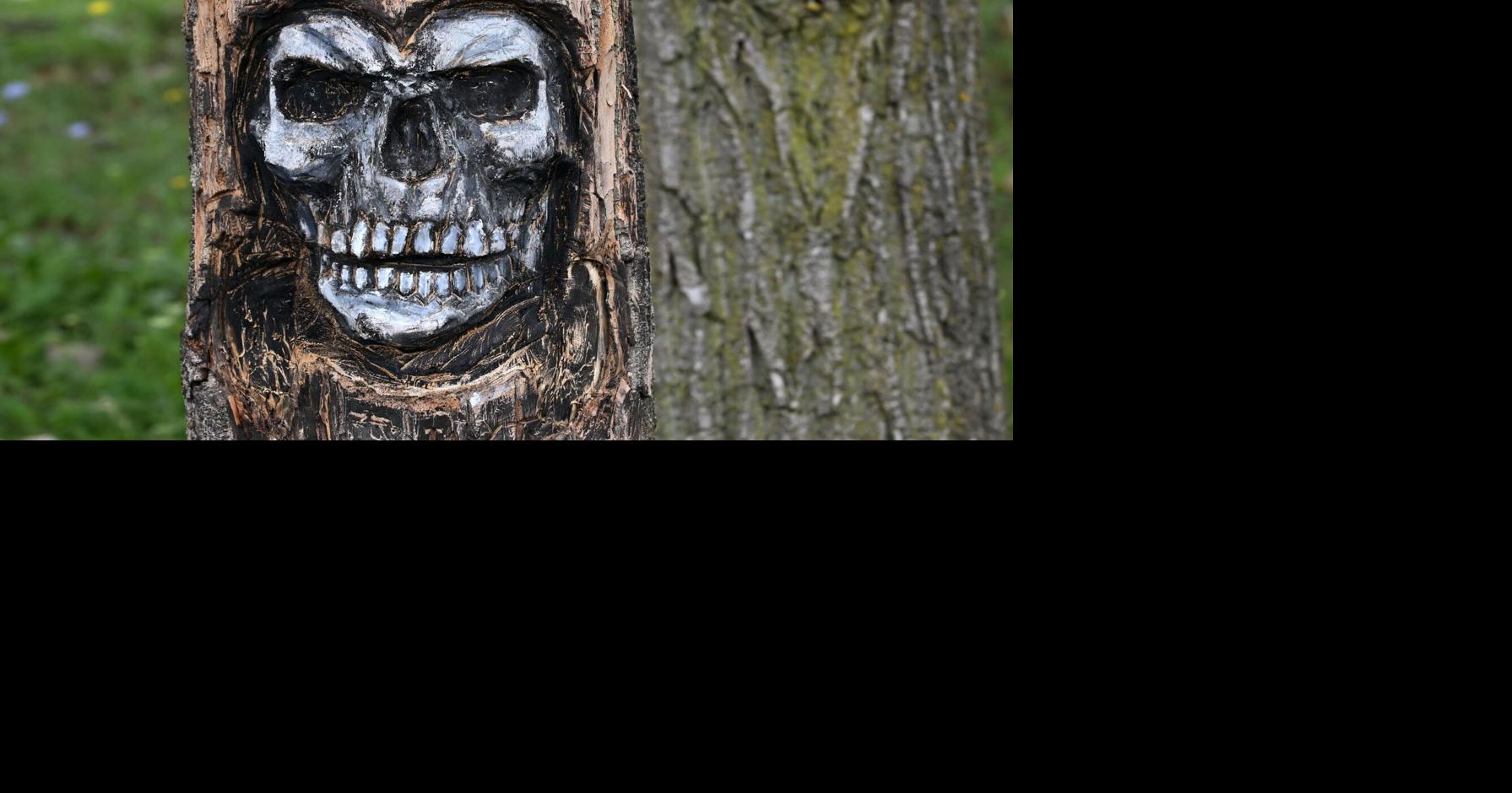 Guilty plea in tree carving case from Welland