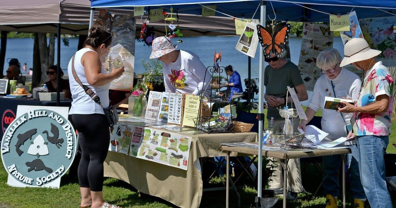 Honey and Pollinator fest a hive of activity