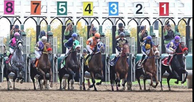 Progress made on stabling policy protects race track