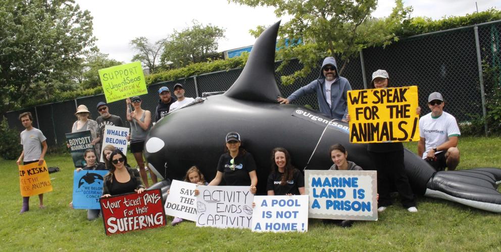 Marineland protest June 30, 2024
