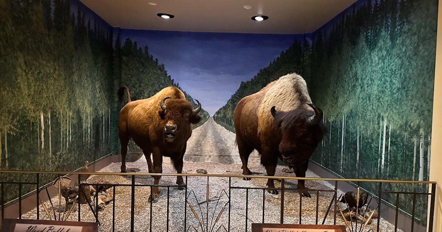 Fort Smith museum to transfer ownership to newly formed Thebacha Leadership Council