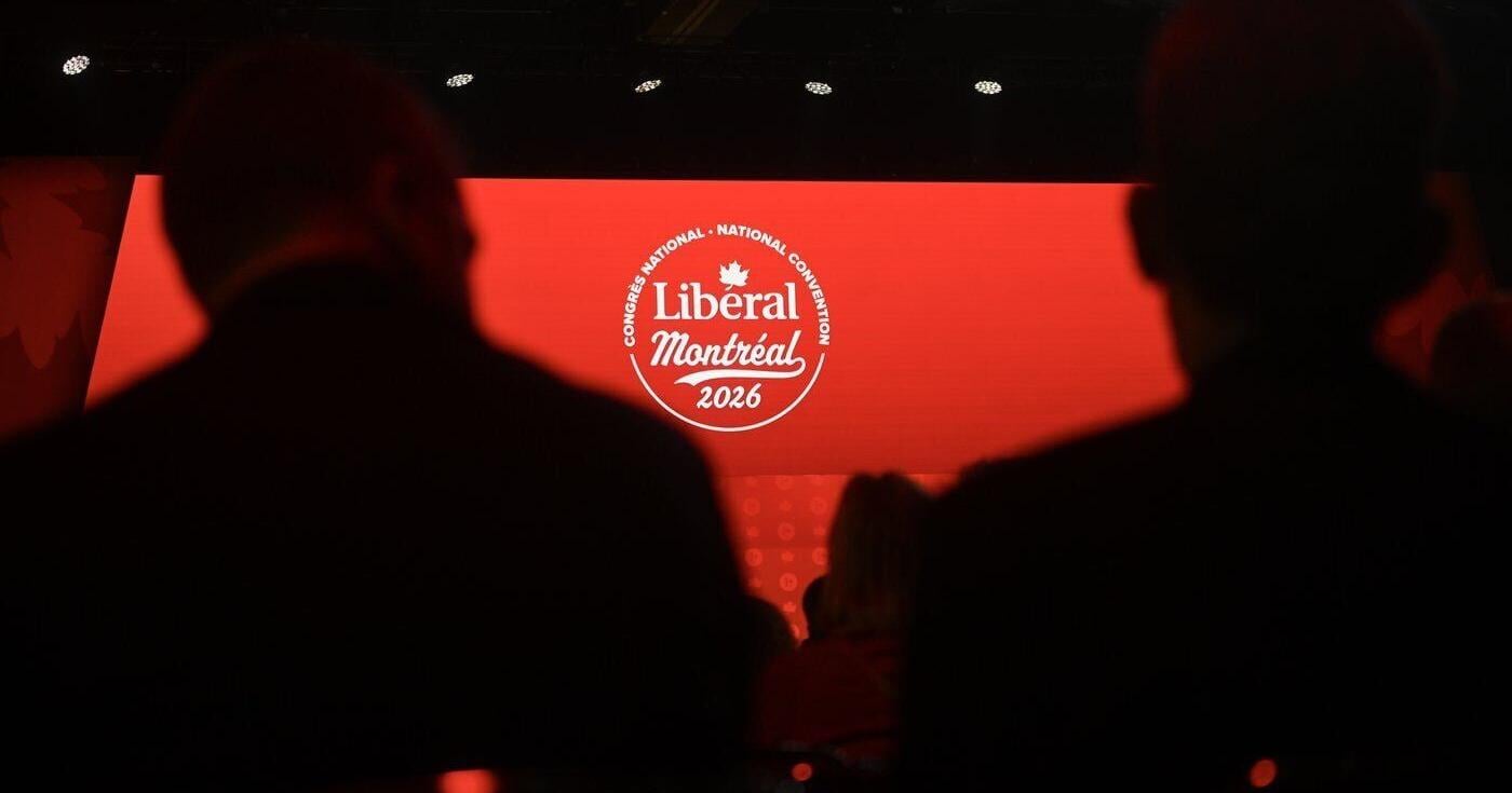 Federal Liberals choose new national director