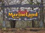 Marineland denies claims of layoffs, closure