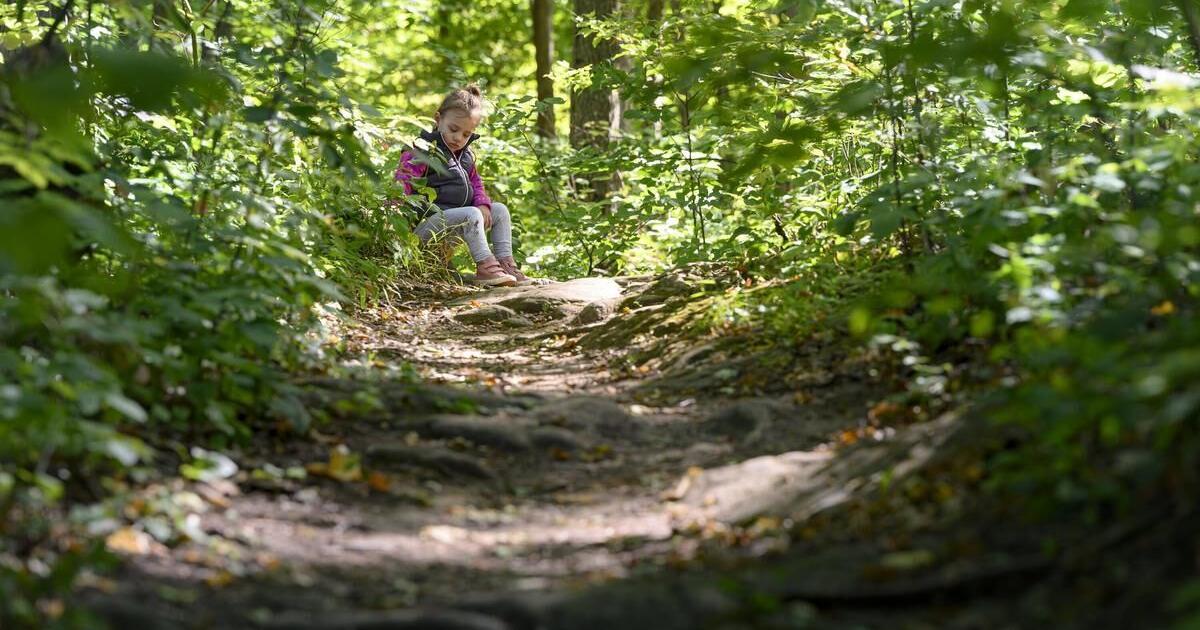 Conservation areas open for many activities over May long weekend