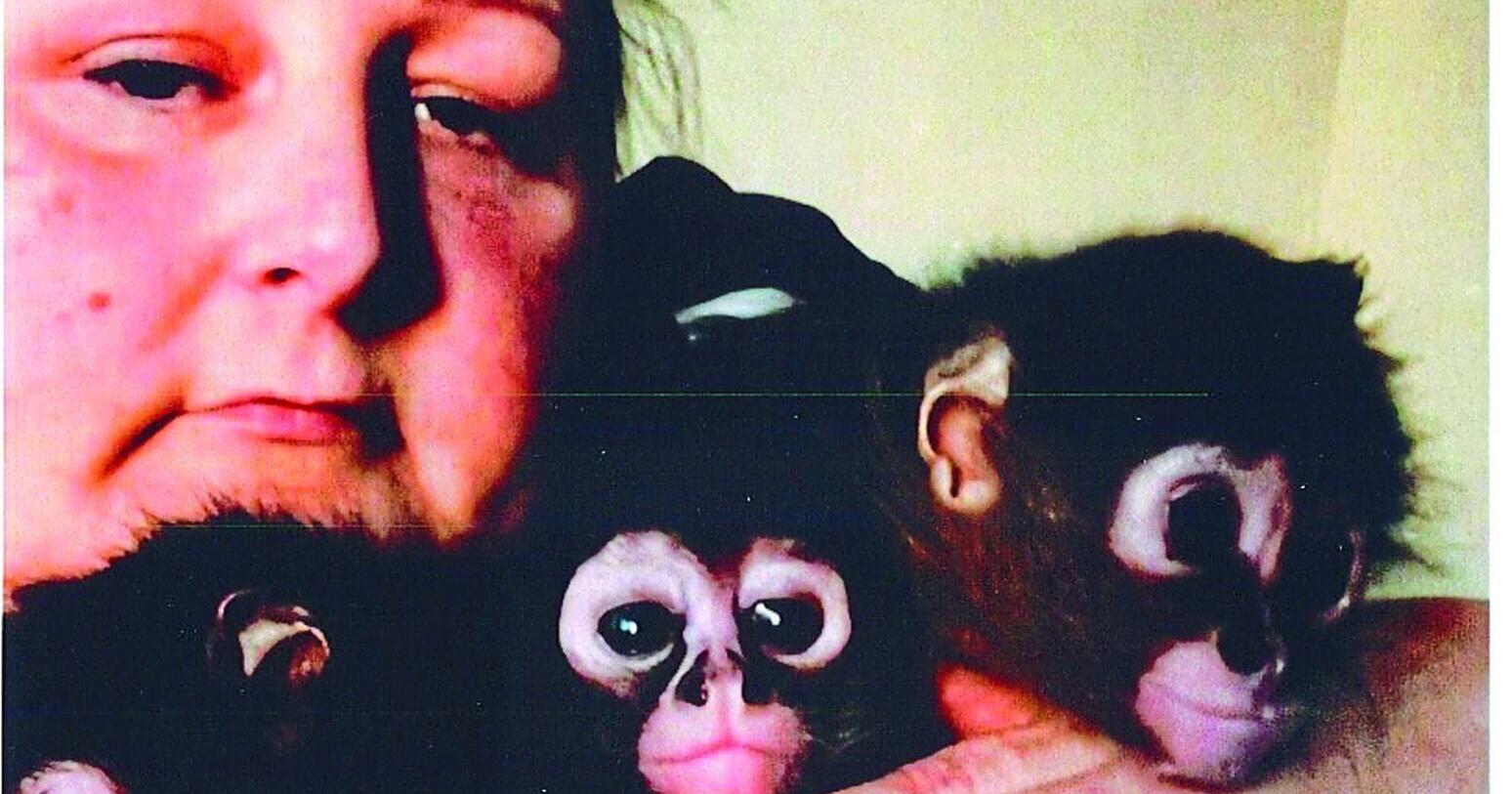 Woman pleas for monkeys return