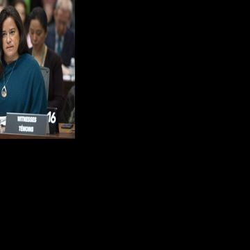 Nicholson 'shocked' by details of SNC-Lavalin scandal