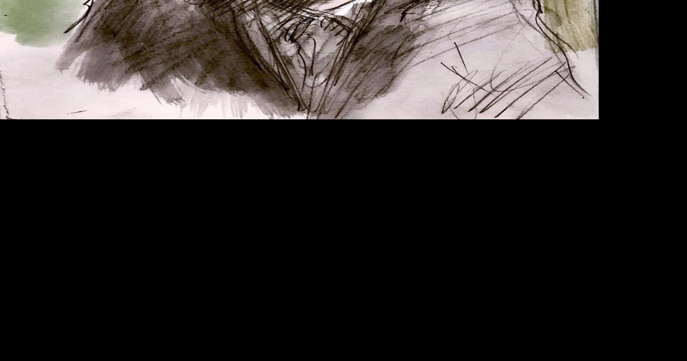 Court to wait longer to sentence van attacker Alek Minassian