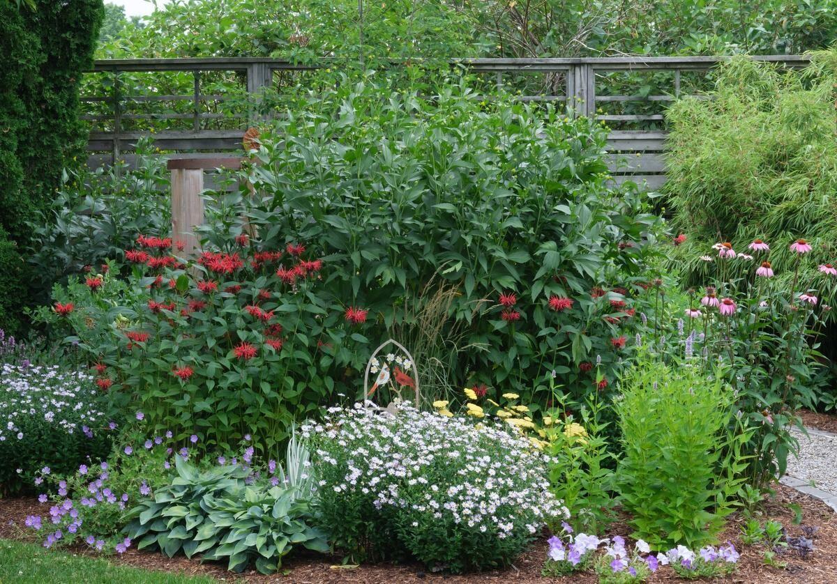 Growing Your Garden: Creating a diverse garden