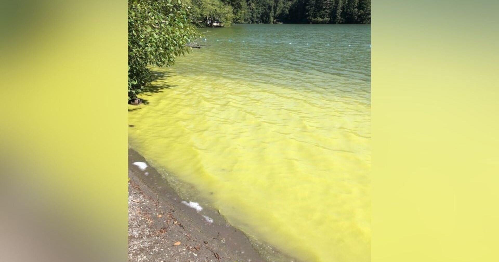 Advisory issued against swimming in Squamish Alice Lake