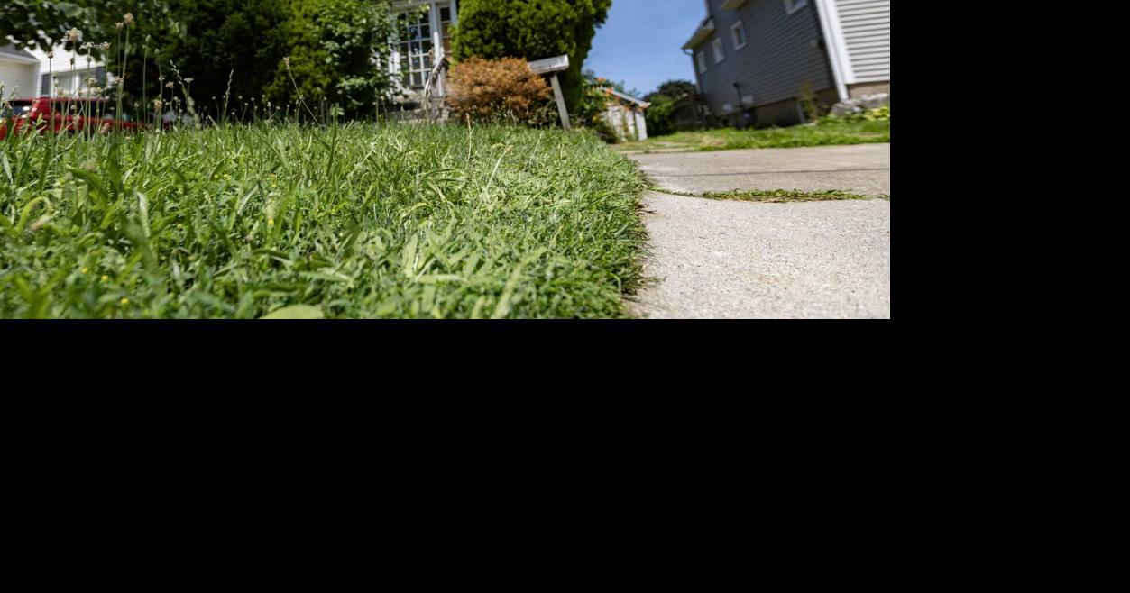 Vacant St. Catharines home to undergo Habitat for Humanity renovation