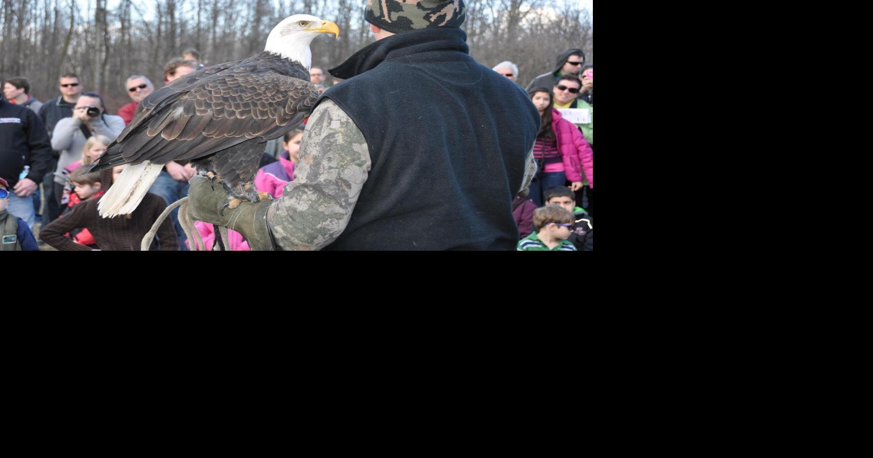 Bird enthusiasts flock back to annual Hawkwatch count