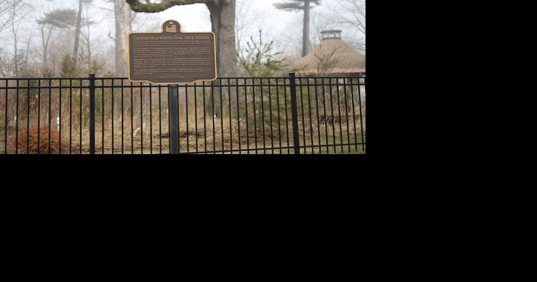 Oak Tree Memorial Plaque