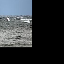 Two rescued after sailboat capsizes in Lake Erie