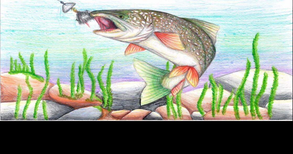 A-Lure-ing  Trout art, Fish artwork, Fishing lures art