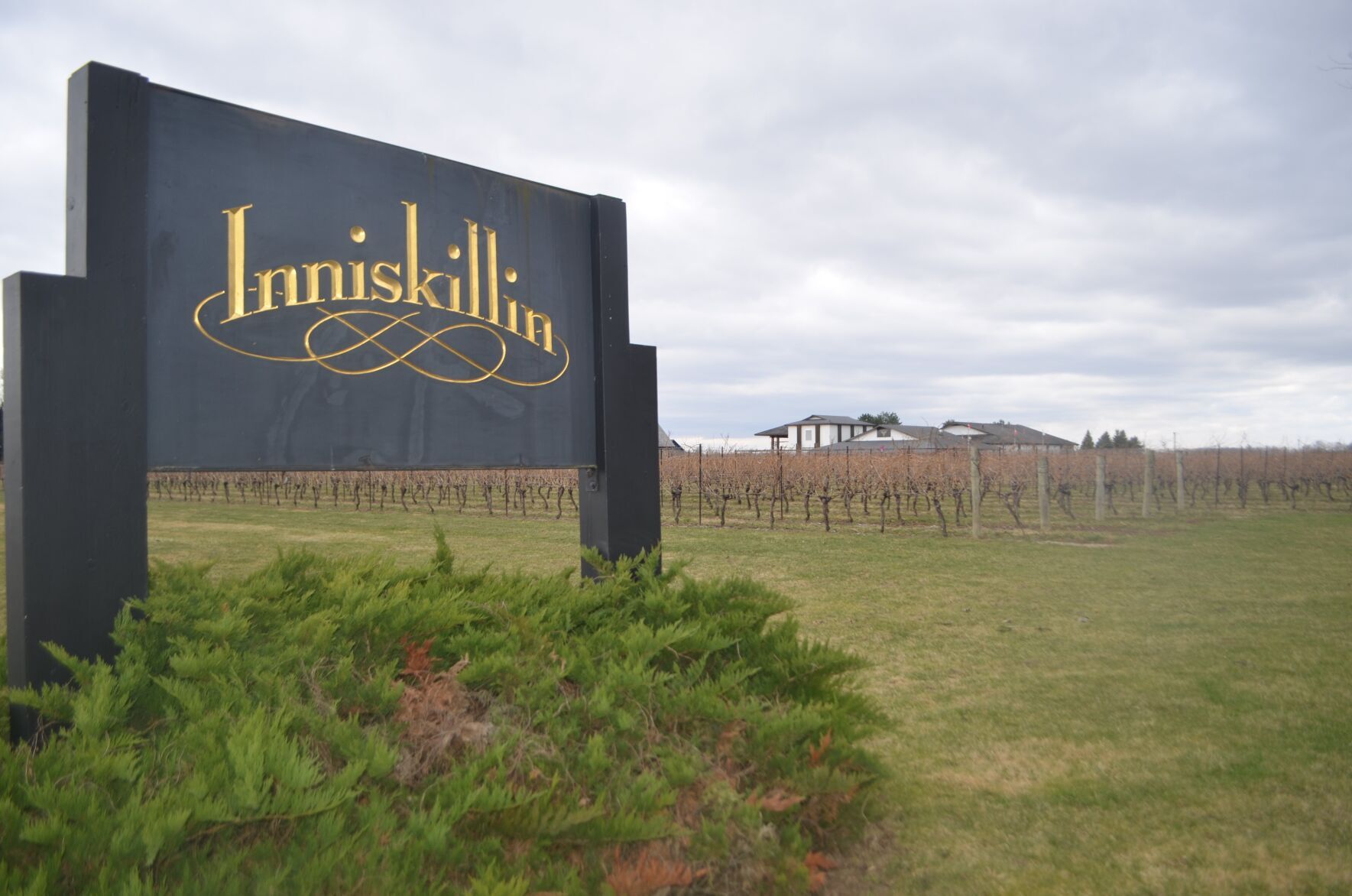 Immersive events planned to light up the wine country experience