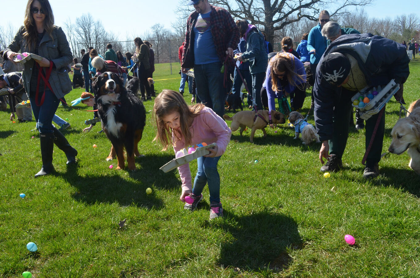 Dog easter egg hunt 2019 hot sale near me