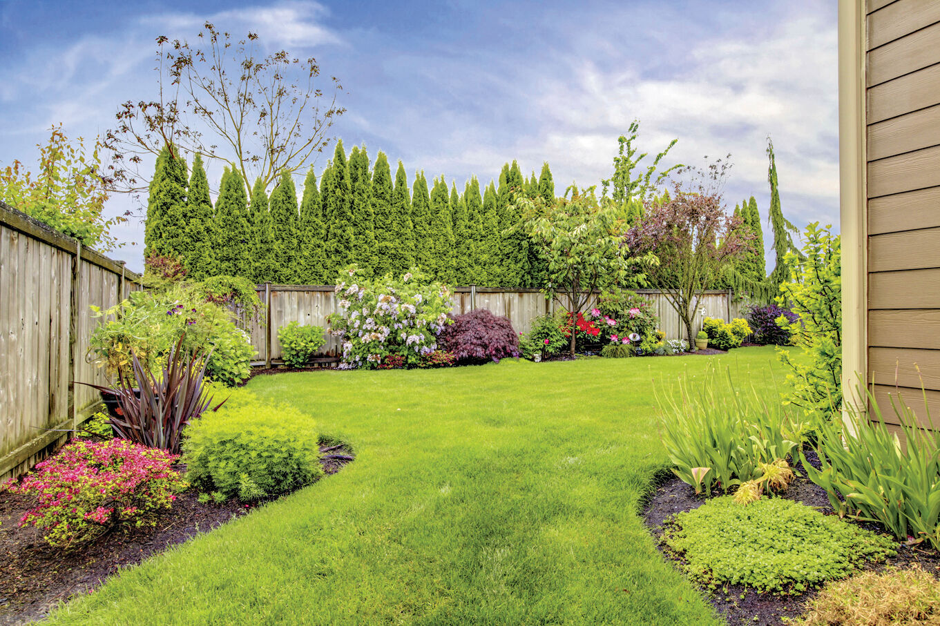 Lawn deals plants landscaping