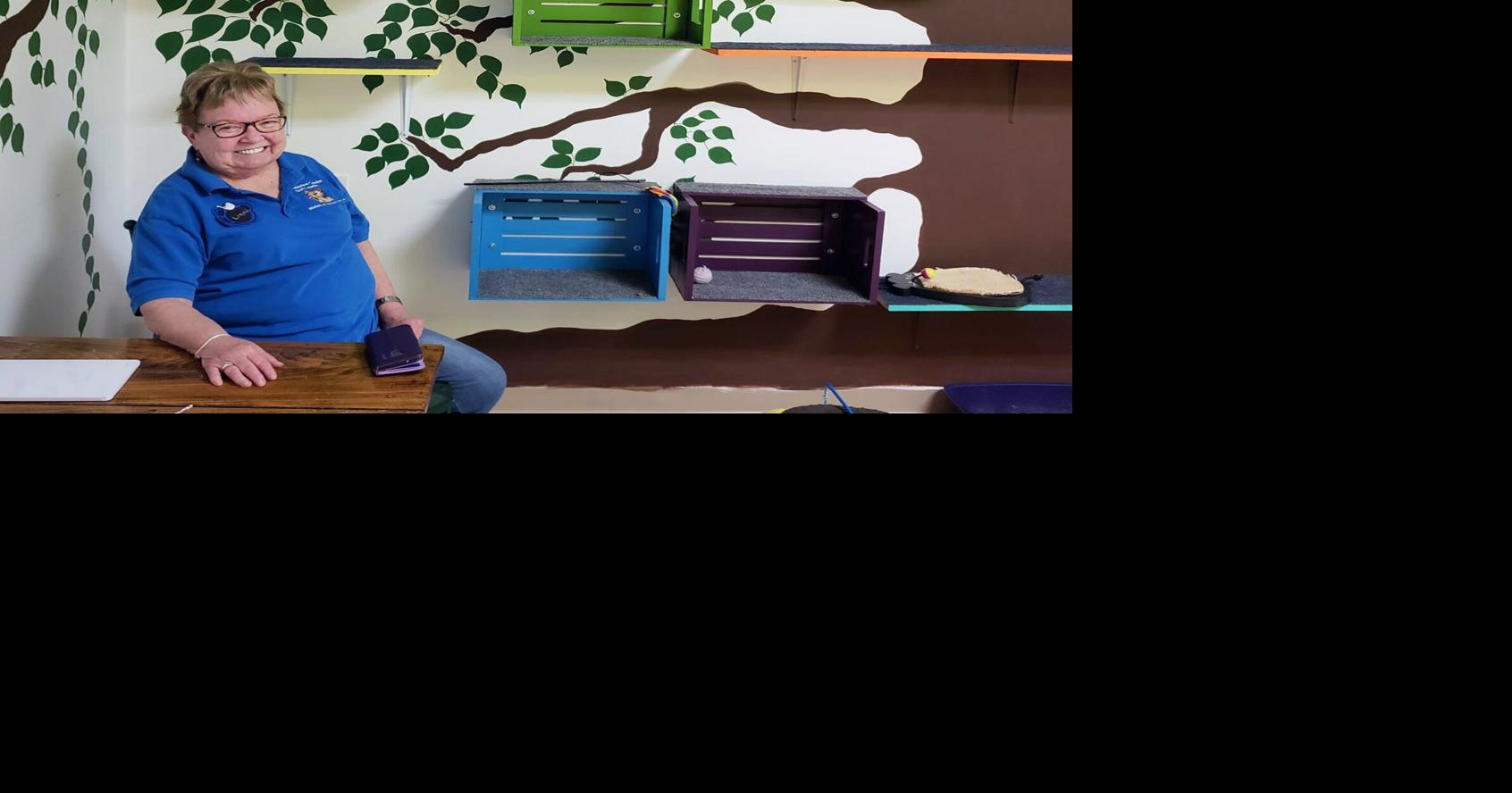 Cat lovers invited to visit adoption centre at Seaway Mall in Welland