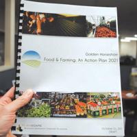Farm action plan outlines options for growth of agriculture