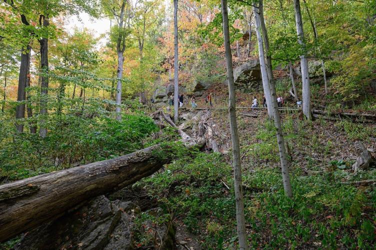 Input provided on plans to upgrade Beamer conservation area