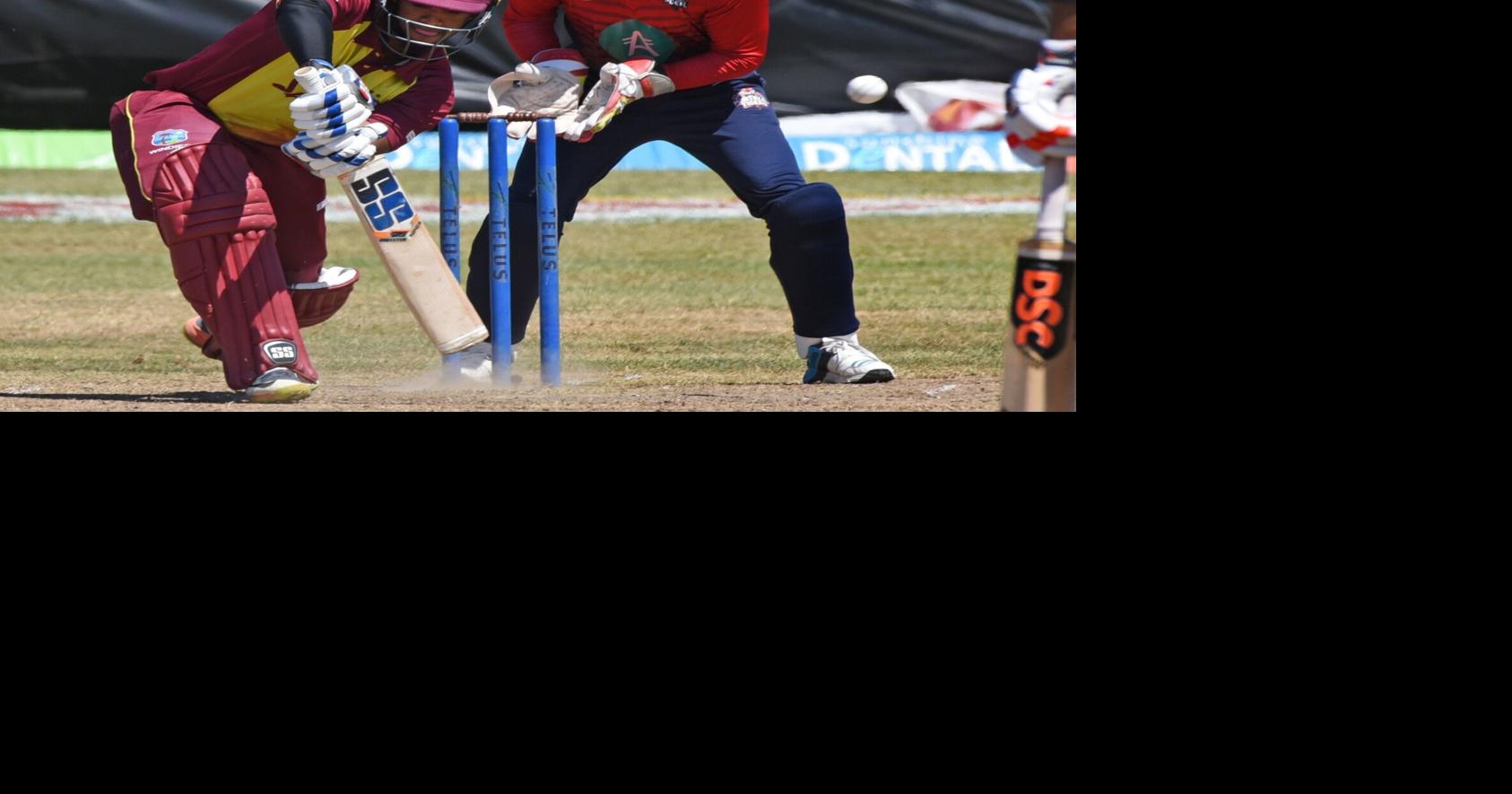 Ribbon cutting Sunday for new Niagara Falls cricket pitch