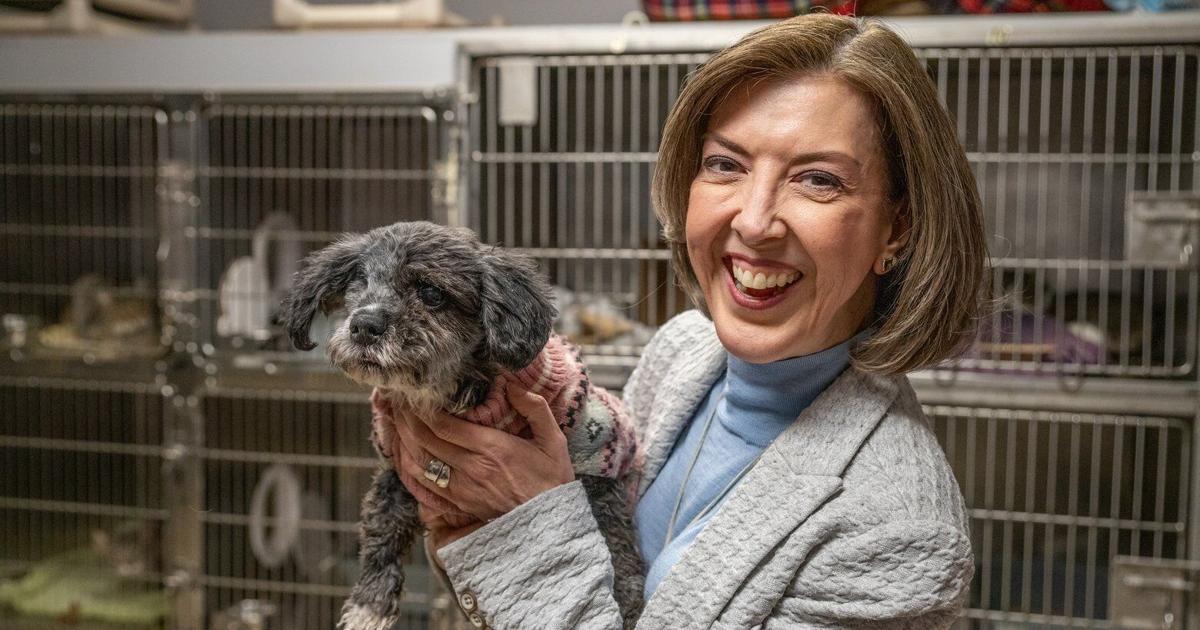 New humane society director to help relaunch expansion plans