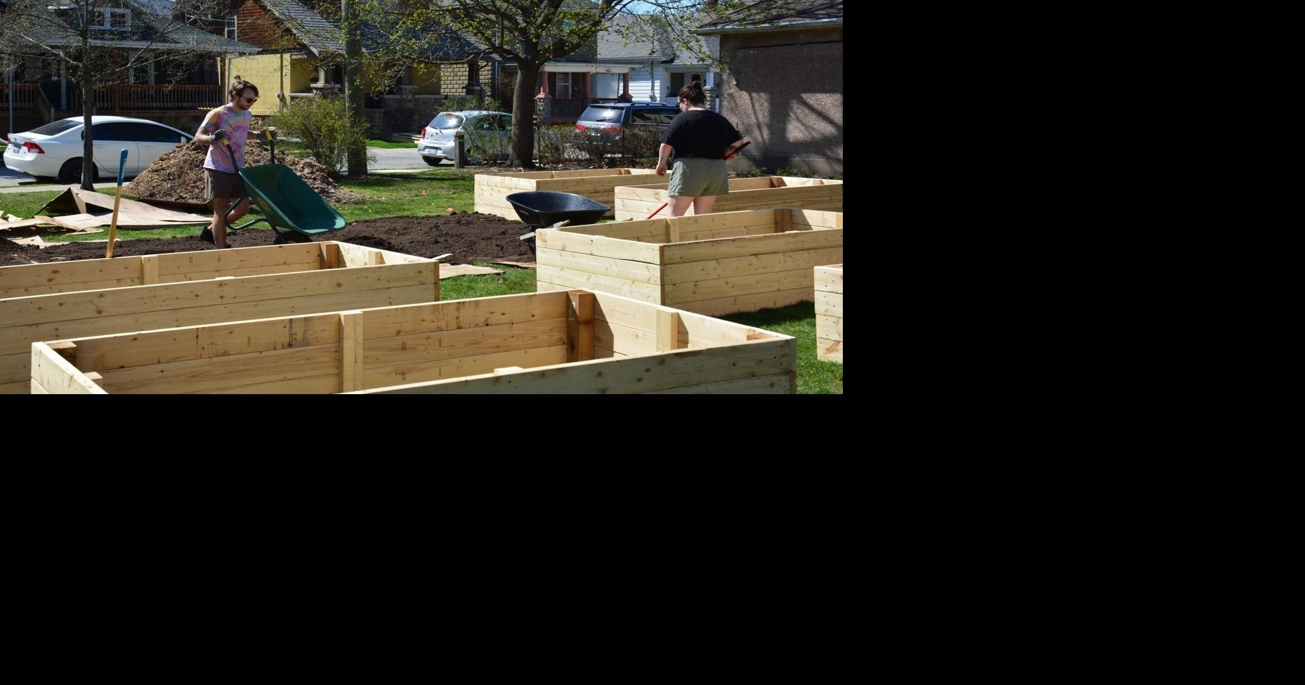 Growing a community Community Gardens foster relationships in St