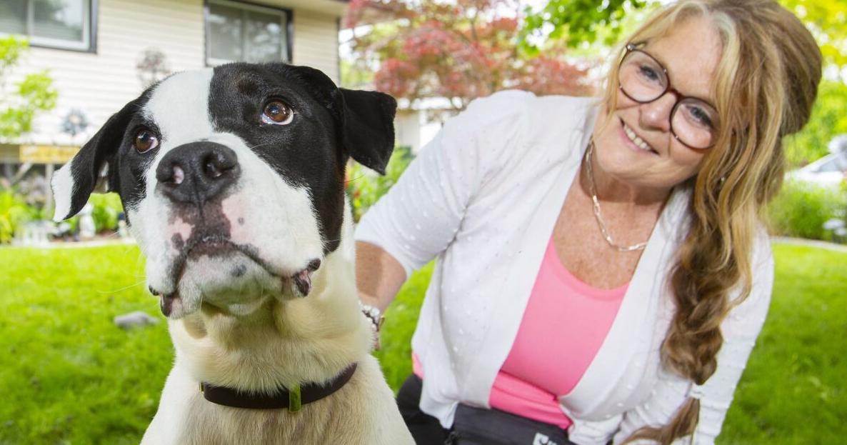 Found starving in north St. Catharines, canine Jacob has a new home