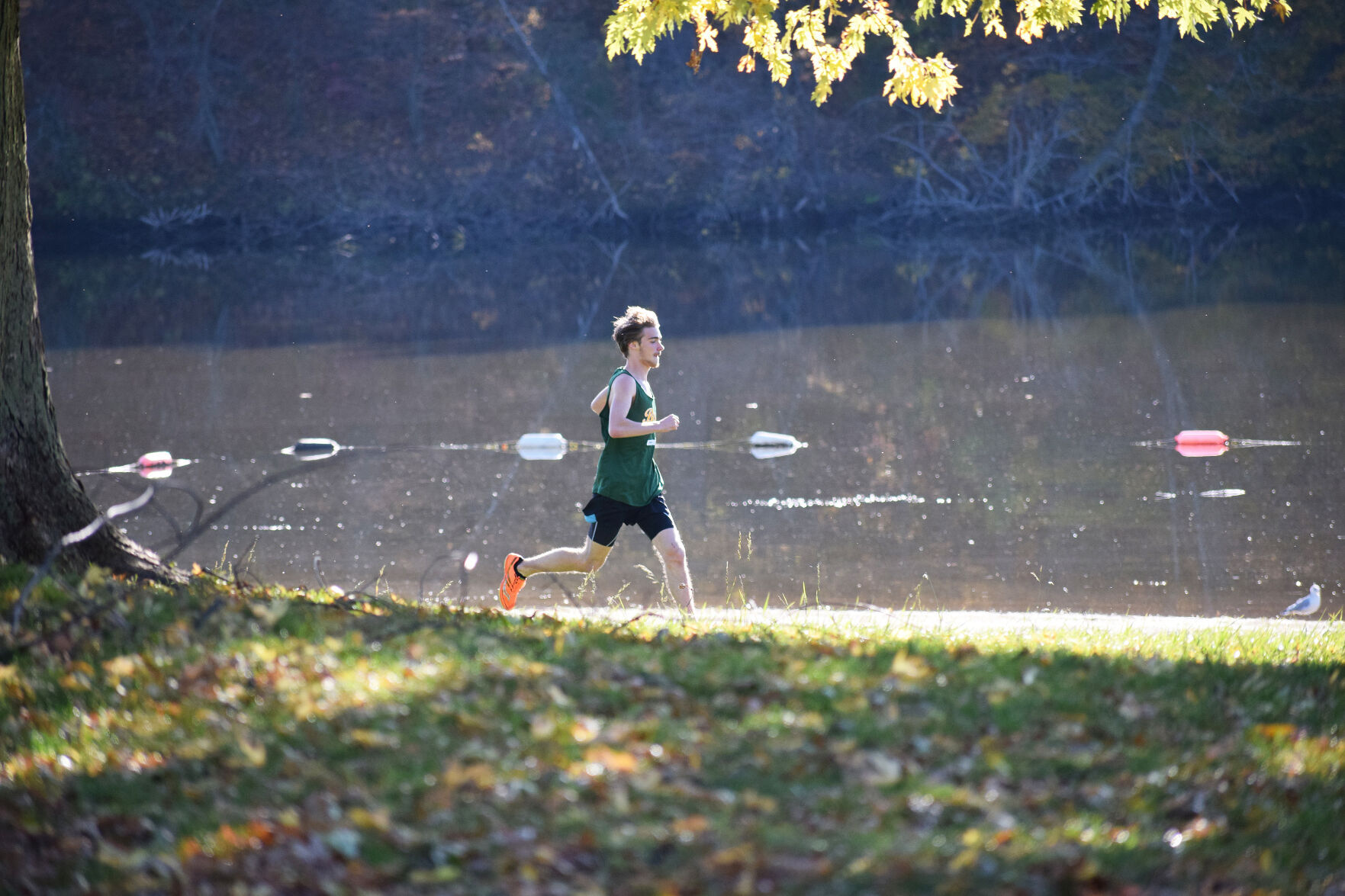 Cross country Konkle wins OFSAA gold