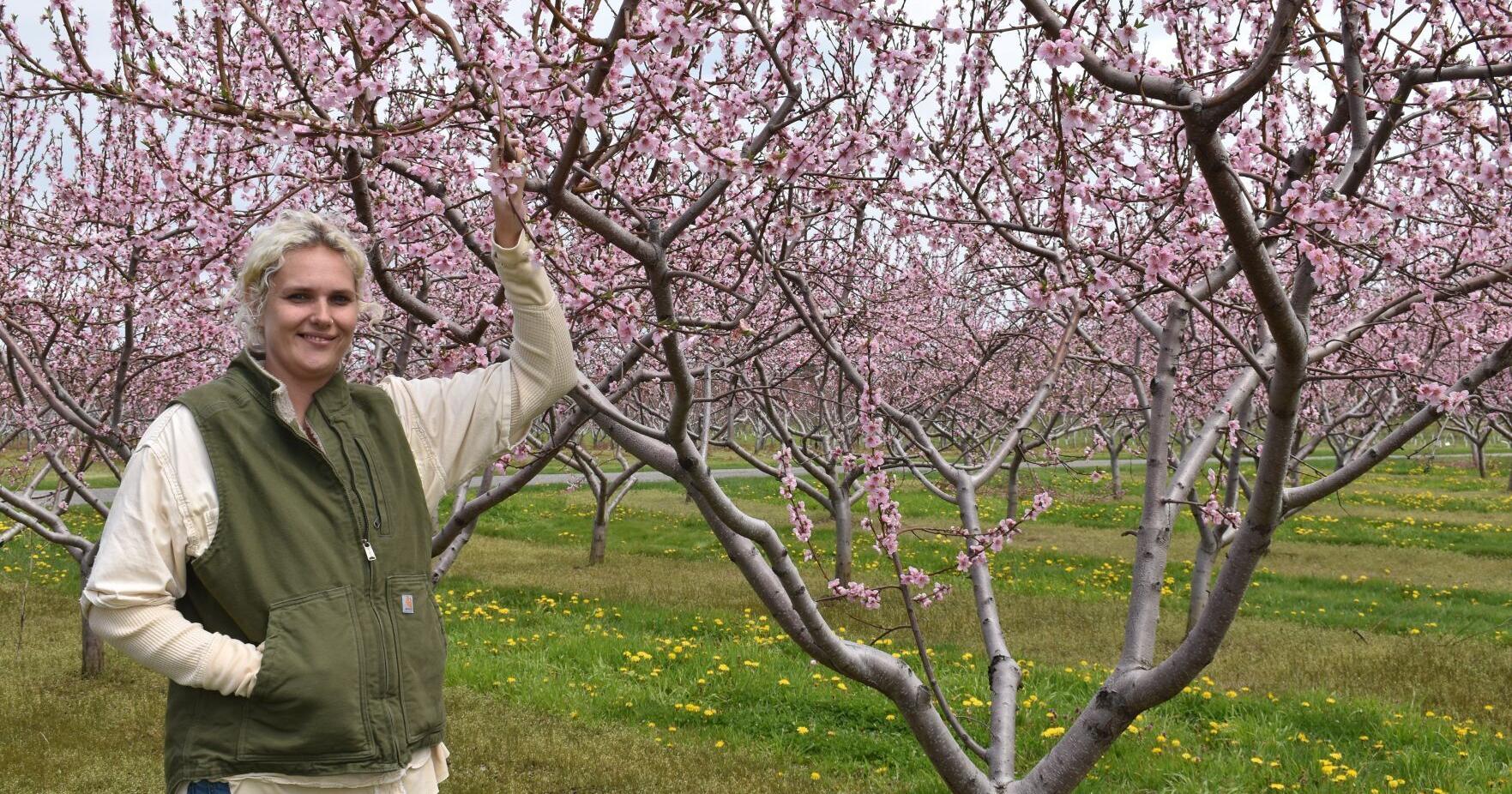 Lincoln BlossomFest ready to bloom on May 4 - Vimarsana News